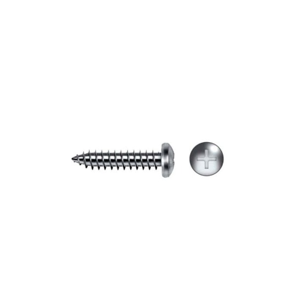 Zèle 955507981100 – Skruv DIN 7981 Plåtskruvar Alomada Head PH Avtryck Ø 5,5 x 50 mm Förzinkat, 100 enheter