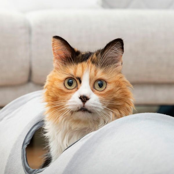 Fleksibelt Legetunnel - InnovaGoods - Funnyl - Vandtæt - 2 Positioner - Til Katte grå