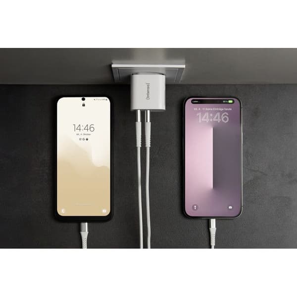 Intenso W24AA USB-oplader 24 W 2x USB-A hvid indendørs