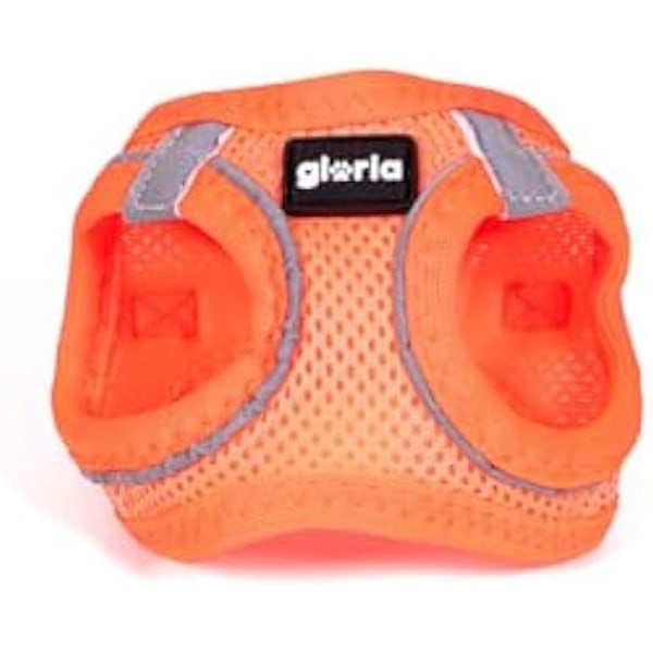 Koiran valjaat - GLORIA - Trek Star - Koko XXS - Väri Oranssi - Mitat 15,16 x 1,73 x 19,77 cm