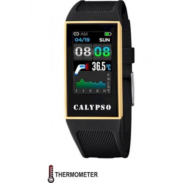 Calypso kello K8502-4