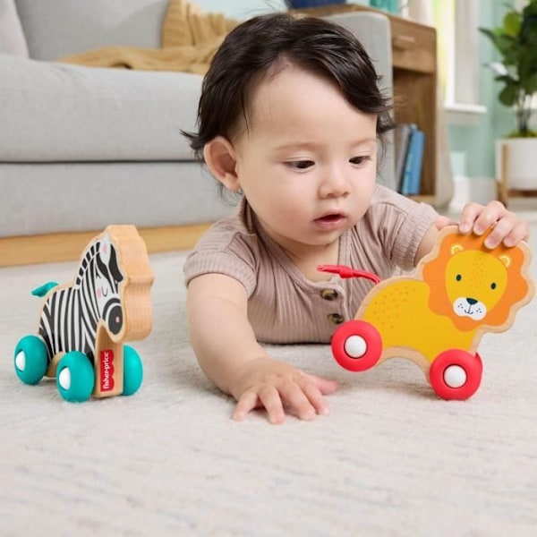 FISHER-PRICE Puupullattavat eläimet - JFN19 Färgad