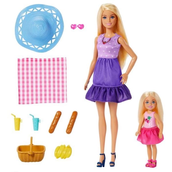 Barbie-perhe ja ystävät - Barbie piknik - lahjasetti 2 nukkea - 3 vuotta+ - JBF43