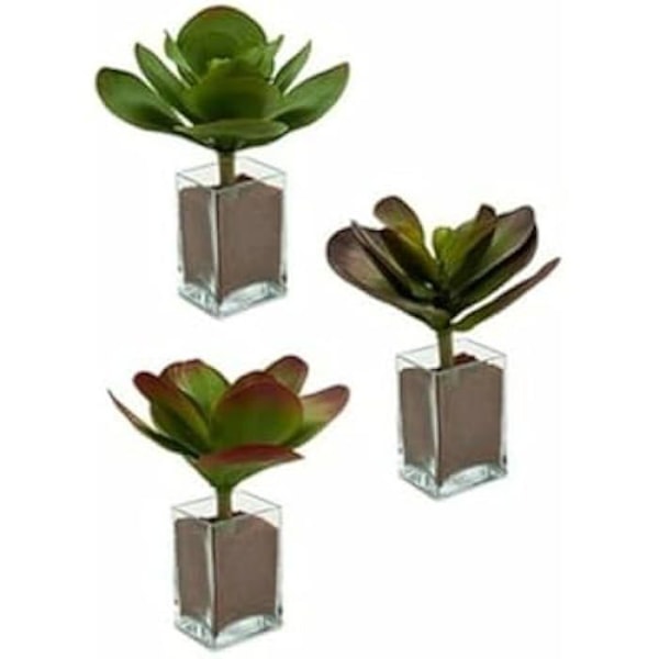 Dekorativa växter - IBERGARDEN - Set med 6 - Tvåfärgade - 27 x 29 x 27 cm - Inomhus Flerfärgad