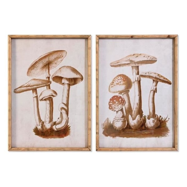 glasramme 50 x 70 x 2,8 cm 50 x 2,8 x 70 cm svampe (2 enheder)