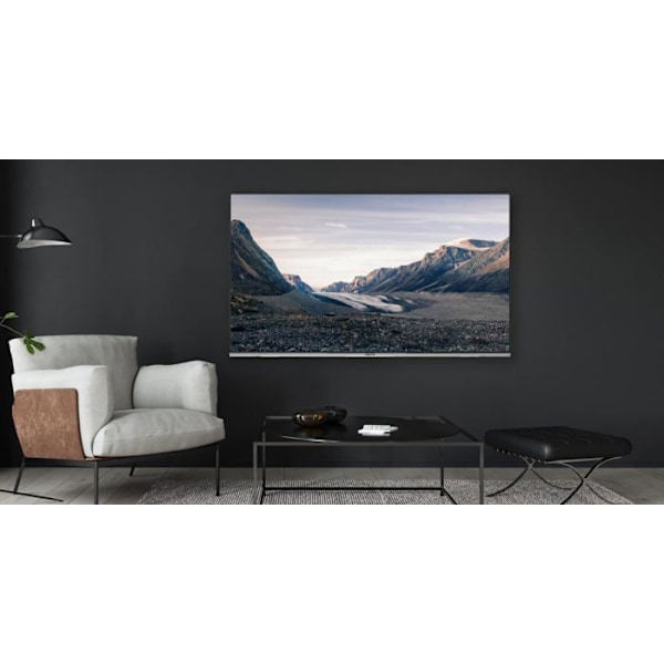 Metz LED TV UHD/4K Google TV (Netflix, Prime Video, MyCanal, OCS, Apple TV jne.) HDR10 / HLG DVB-T2/C/S2-virittimillä - MUD7000 - 50"