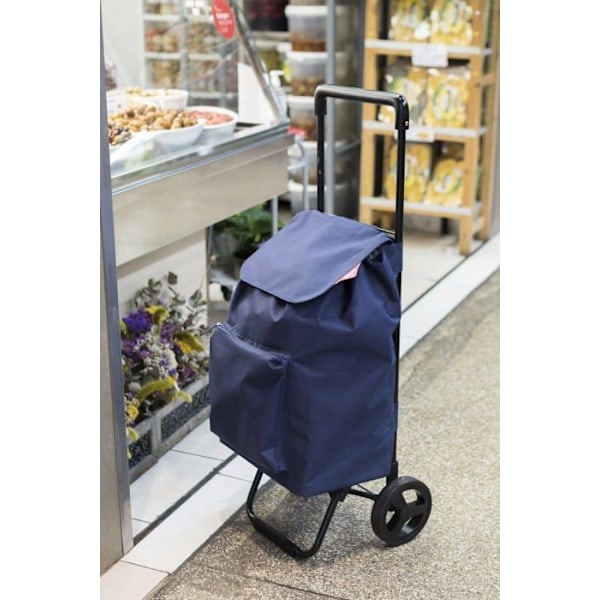 Gåvogn - gåvogn Ingen producent - 0102616 - CARRO DE LA COMPRA Argo Urban