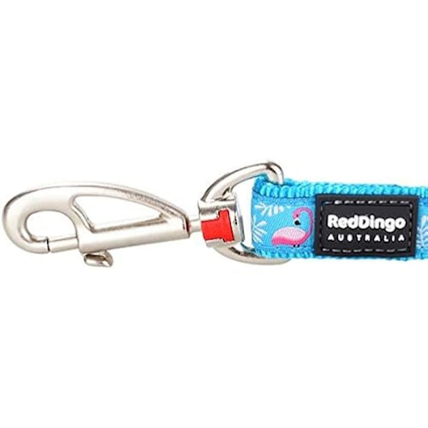 Lämna för Hund - RED DINGO - Flamingo Turkos - 15 mm - 1,2 m - Hållbar Nylon s