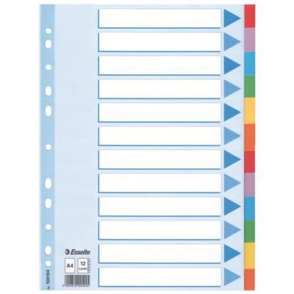 CF10 INTERCAL CARTON12 T.COLORS A4 ESSELTE 100194