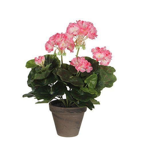 MICA Decorations Kukat, iso geranium Monivärinen - 950219