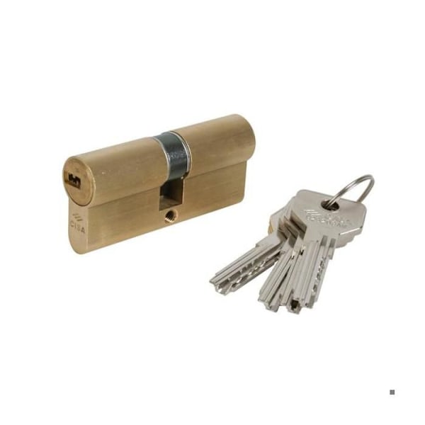 Lukkosylinteri - GENERIC - Asix 30x40 - 6 nastaa - käännettävä avain - messinki