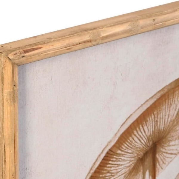 glasram 50 x 70 x 2,8 cm 50 x 2,8 x 70 cm svamp (2 enheter)