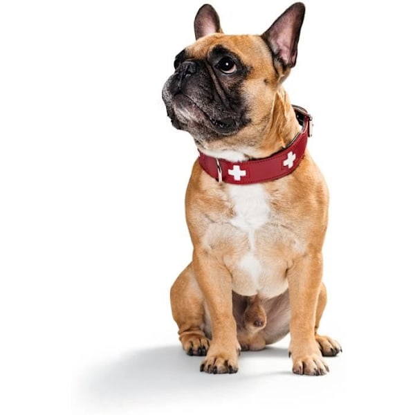 Hundehalsbånd - HUNTER - Swiss - Nedbrydeligt økologisk læder - Rød/Sort - Str. 47 Rød/sort