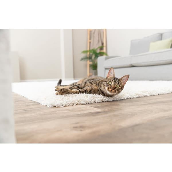 Katte plysdyr - TRIXIE - Elefant - 15 cm - Katteurt - Stille - Blød - Stimulerer leg