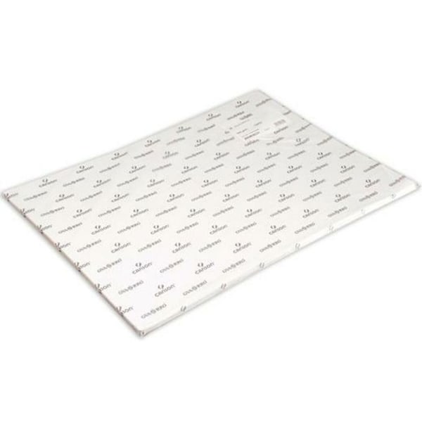 Canson ritpapper - 200408043 - Vitt akvarellpapper 50 x 70 cm 350 g/m 25 enheter