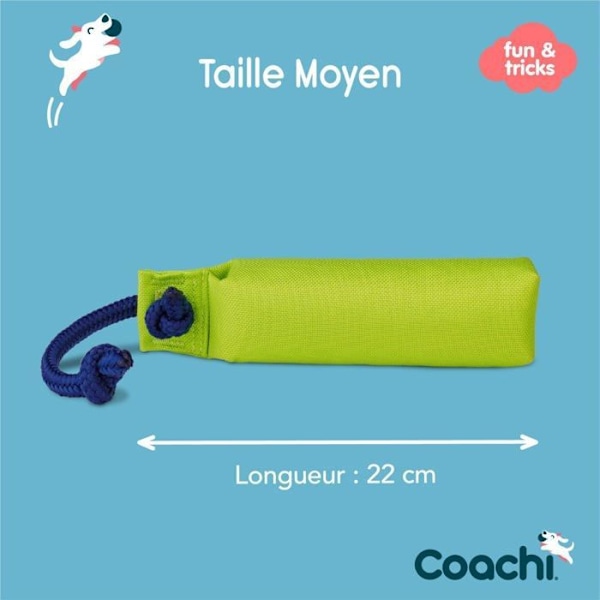 Koulutuslaitteet - agilitylaitteet Eläinyhtiö - 41421A
