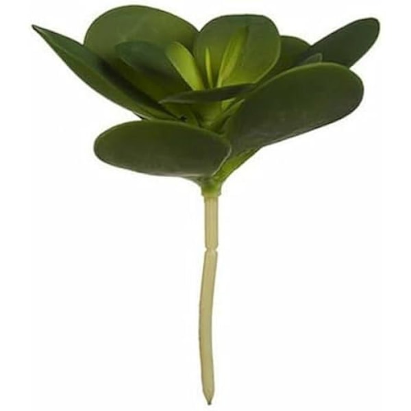 Dekorativ plante - IBERGARDEN - Runde blade - Plast - 18 x 23 x 18 cm - Flerfarvet (6 enheder) Flerfärgad