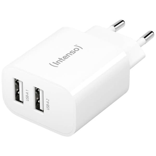Intenso W24AA USB-oplader 24 W 2x USB-A hvid indendørs
