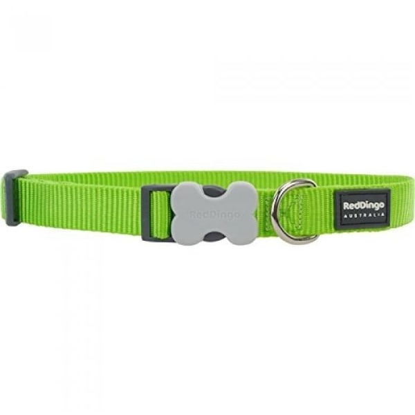 Hundehalsbånd - Red Dingo - Limegrøn - Nylon - Holdbart - Trendy Lime grøn