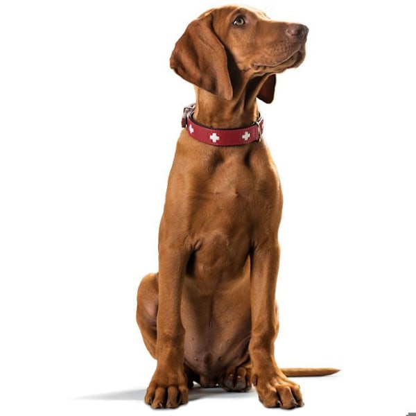 Hundehalsbånd - HUNTER - Schweiz - Rød - Medium - Nappa kalv læder rød/blk