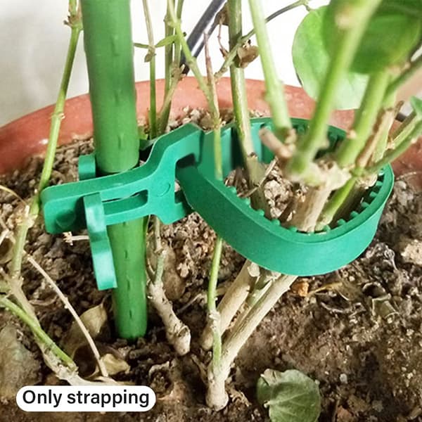 Tree Support Straps, Adjustable Plant Ties, Excellent for Tying, Bracing, and Supporting Trees and Plants. 4-Pack