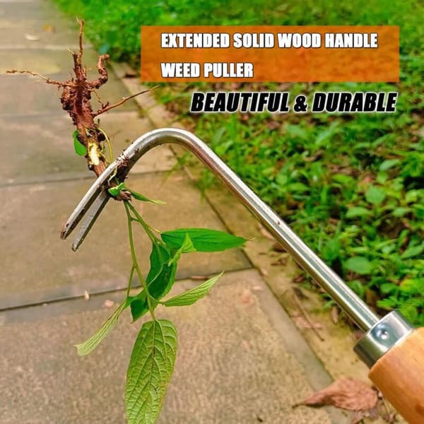 Manual weeding iron with handle, with V-hook - 40 cm garden tool