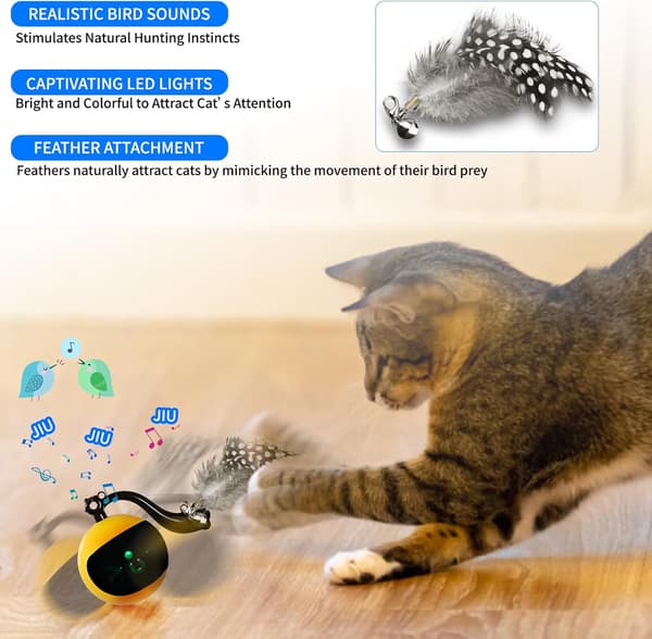 Interactive Remote Control Cat Toy Ball, Automatic Moving Rolling Feather Toy USB Rechargeable Motion Activated Play for Indoor Cats