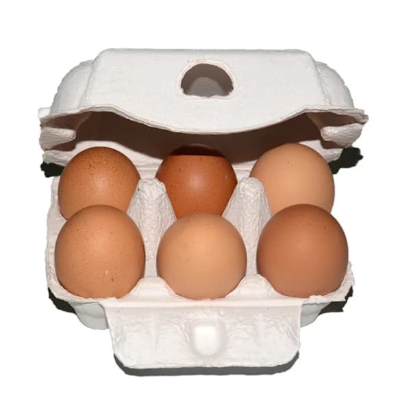 Egg Carton, Stackable Pulp Egg Carton, Egg Tray for Refrigerator Kitchen Retailer Shipping, 10-pack, 10.5x7.5x6cm