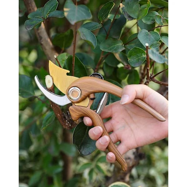Replacement Spring for Pruning Shears, 6 cm Standard Accessory, Heavy-Duty Stainless Steel Coil Spring, Compatible with Bypass Pruners, A