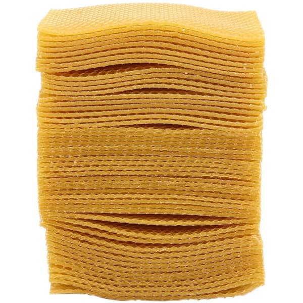 50 pcs Beekeeping Beehive Honeycomb Foundation Frame Garden Tool