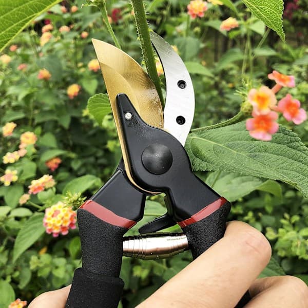 Professional Premium Titanium Bypass Pruning Shears, Hand Pruners, Garden