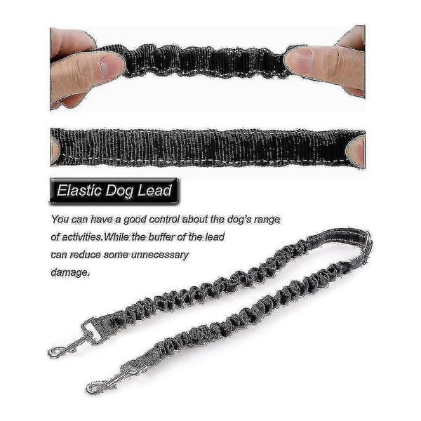 Bungee Double Dog Leash, Tangle-Free Two 2 Dog Leash And Splitter For Walking Puppy Small Medium