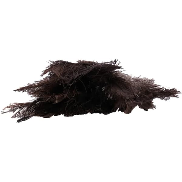 Ostrich Feather Duster, Beech Wood Handle, 38 cm