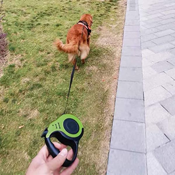 Infällbart hundkoppel med halkfritt handtag, grön