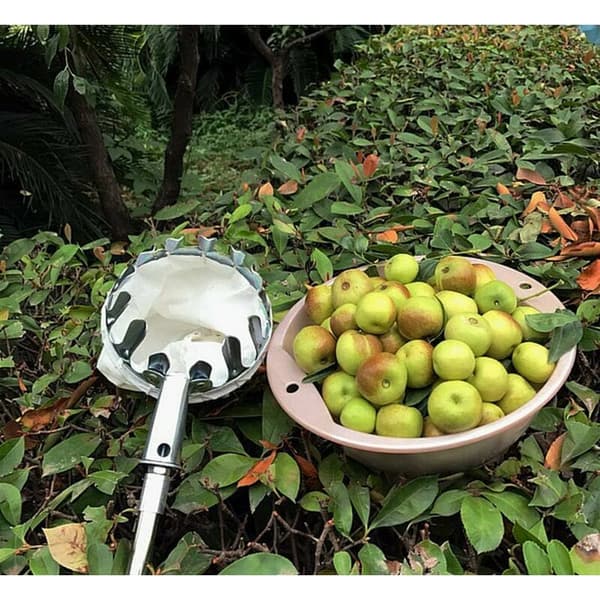 Silver Fruit Picker without Telescopic Handle in Metal for Apple Pear Orange Practical Garden Tool Lightweight Durable Portable Basket Tool