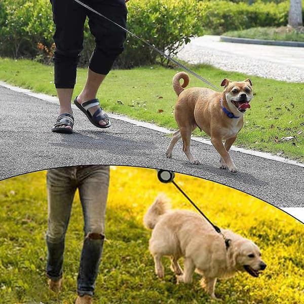Uttrekkbart hundebånd, 5 m, sammenleggbart hundebånd