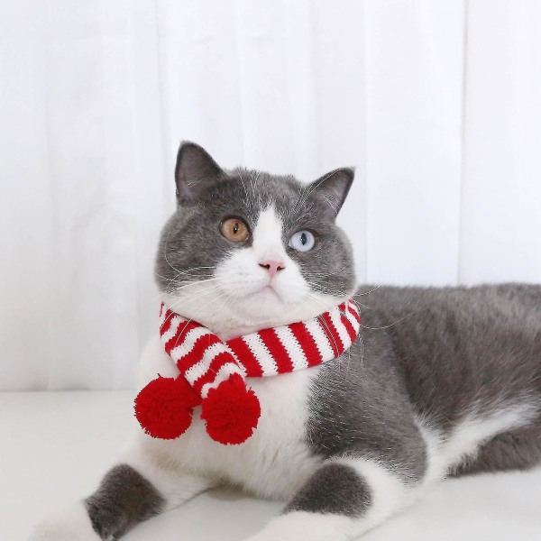 Pet Cat Halsband för julfest dekoration valp halsduk Green stripes