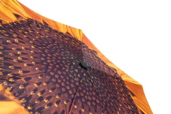 Windproof Travel Umbrella - Compact Foldable Portable