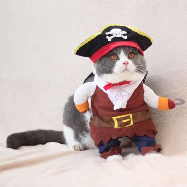 Piratkostume til hunde og katte (S) - Sødt og holdbart Halloween-tøj i polyester