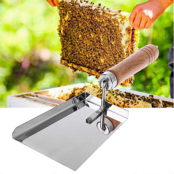 1pc Beekeeping Tool Beehive Honey Wax Scraper Shovel Beehive Cleaner Extractor