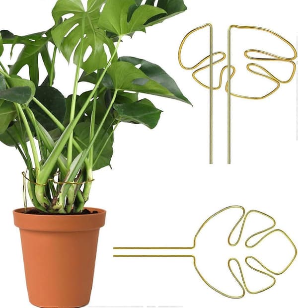2 kpl Monstera-kasvituki, kiipeilykasvituki, monitoiminen varsituki