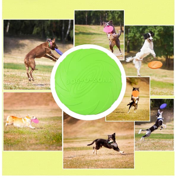 Soft Rubber Flying Summer Beach Interactive Dog Toy Green 18cm