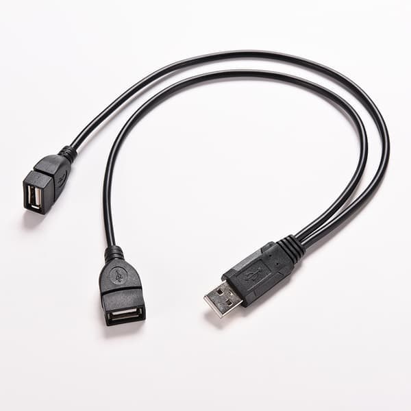 USB 2.0 A han til 2 dobbelte USB hun Y-splitterhub strøm C sort 1 stk
