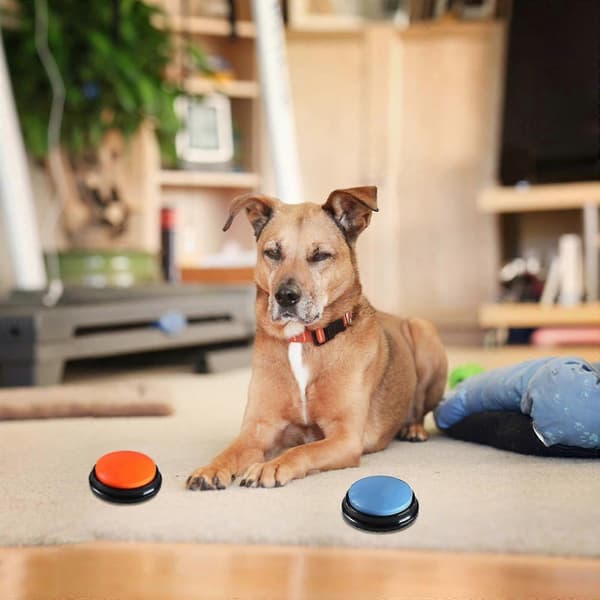 Recordable Talking Button 30 Second Voice Recording Button Pet Training Buzzers - Perfect