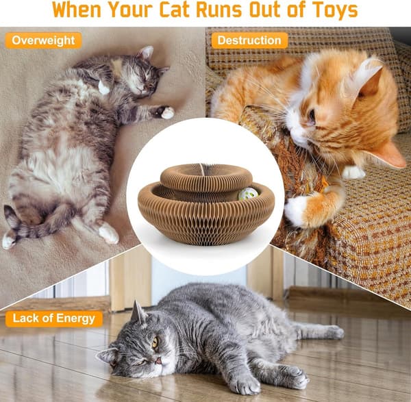 Cardboard Cat Scratcher - Foldable Multi-Shape Scratcher