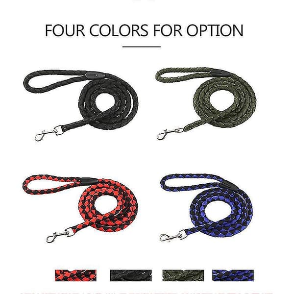 Nylon Dog Leash, 5 Feet Long