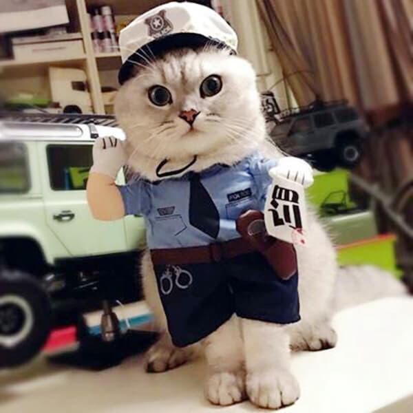 Sød politiuniform til katte og hunde (M), polyester Halloween-tøj