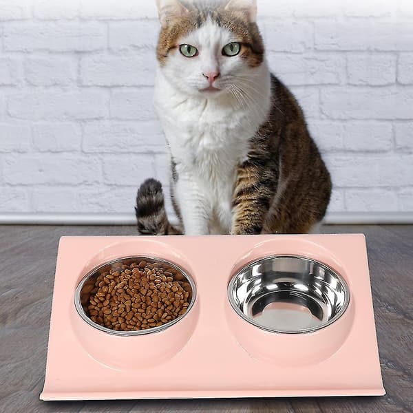 Dobbelt kæledyrsskål med base til katte og hunde - Pink