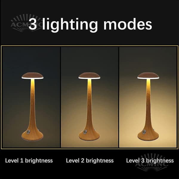 Dimmable Wireless LED Table Lamp with Battery, Portable Rechargeable Battery Operated Table Lamp for Rest