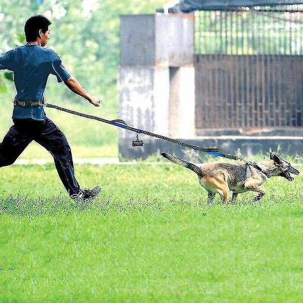 Reflekterende snor trækreb kæledyr hund løbebælte elastisk hænder frit jogging træk hundesnor
